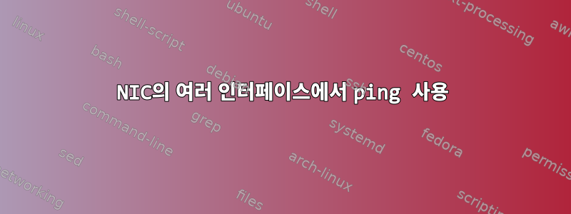 NIC의 여러 인터페이스에서 ping 사용