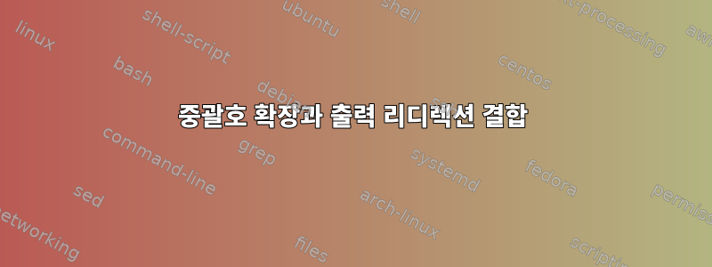 중괄호 확장과 출력 리디렉션 결합