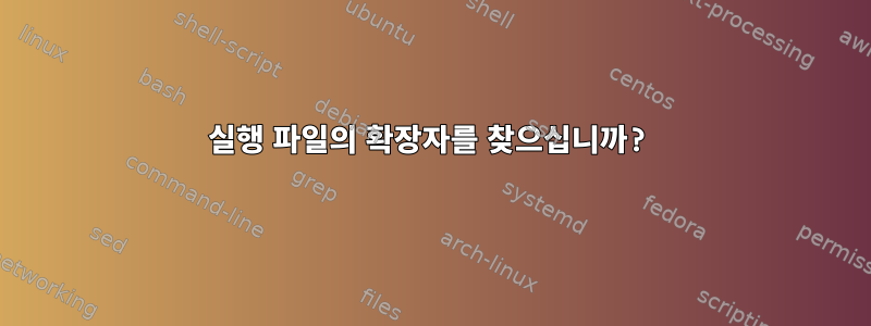 실행 파일의 확장자를 찾으십니까?