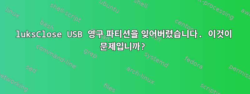 luksClose USB 영구 파티션을 잊어버렸습니다. 이것이 문제입니까?