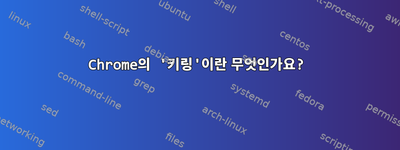 Chrome의 '키링'이란 무엇인가요?