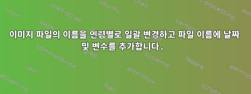 이미지 파일의 이름을 연령별로 일괄 변경하고 파일 이름에 날짜 및 변수를 추가합니다.