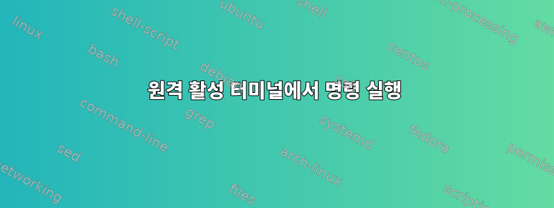 원격 활성 터미널에서 명령 실행