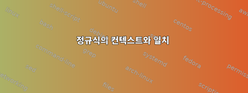 정규식의 컨텍스트와 일치