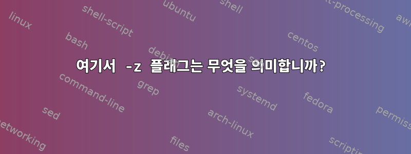 여기서 -z 플래그는 무엇을 의미합니까?