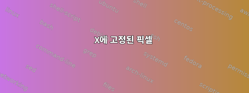 X에 고정된 픽셀