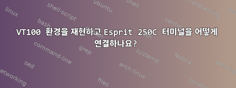 VT100 환경을 재현하고 Esprit 250C 터미널을 어떻게 연결하나요?