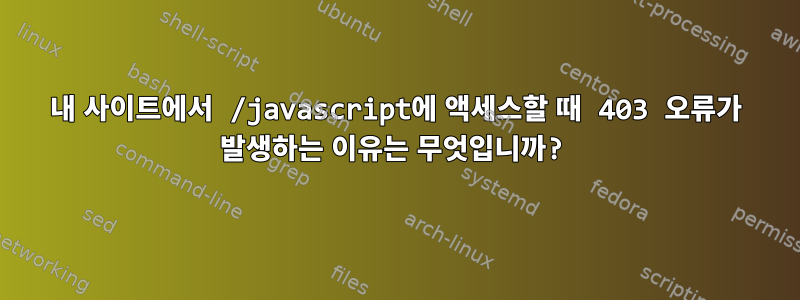 내 사이트에서 /javascript에 액세스할 때 403 오류가 발생하는 이유는 무엇입니까?