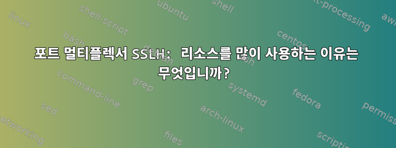 포트 멀티플렉서 SSLH: 리소스를 많이 사용하는 이유는 무엇입니까?