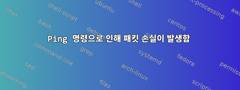 Ping 명령으로 인해 패킷 손실이 발생함