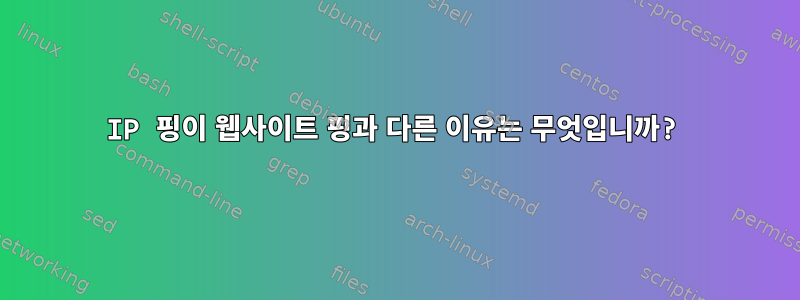 IP 핑이 웹사이트 핑과 다른 이유는 무엇입니까?