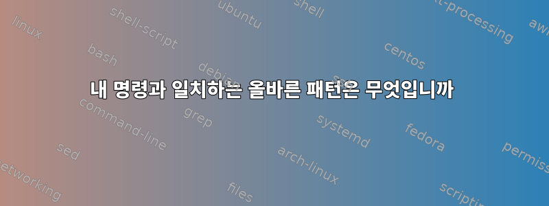 내 명령과 일치하는 올바른 패턴은 무엇입니까