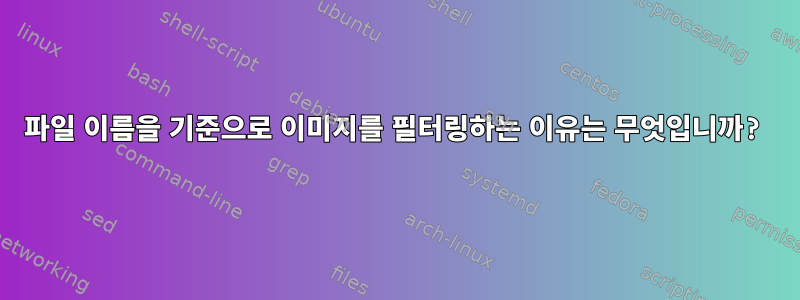 파일 이름을 기준으로 이미지를 필터링하는 이유는 무엇입니까?