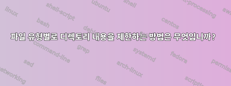 파일 유형별로 디렉토리 내용을 제한하는 방법은 무엇입니까?