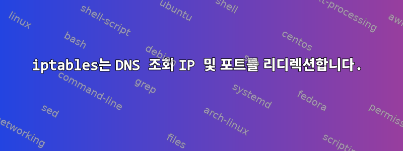 iptables는 DNS 조회 IP 및 포트를 리디렉션합니다.