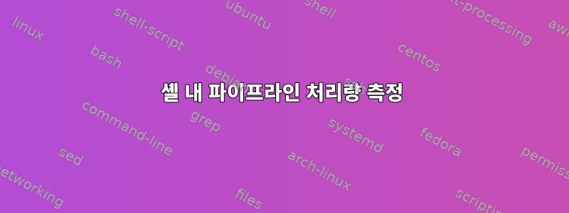 셸 내 파이프라인 처리량 측정