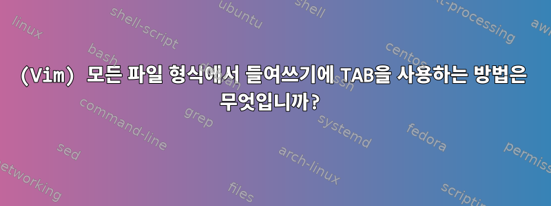 (Vim) 모든 파일 형식에서 들여쓰기에 TAB을 사용하는 방법은 무엇입니까?