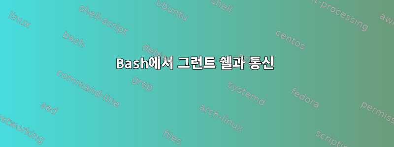 Bash에서 그런트 쉘과 통신