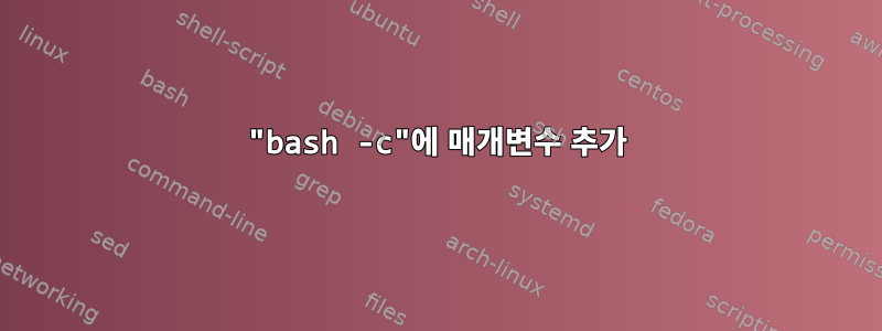 "bash -c"에 매개변수 추가