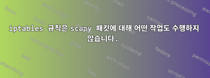 iptables 규칙은 scapy 패킷에 대해 어떤 작업도 수행하지 않습니다.