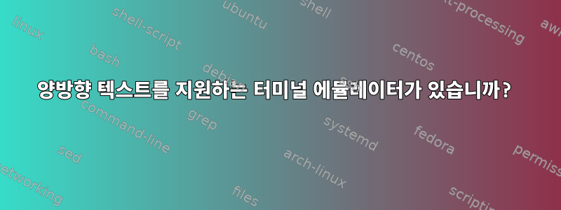 양방향 텍스트를 지원하는 터미널 에뮬레이터가 있습니까?