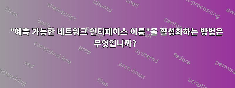 "예측 가능한 네트워크 인터페이스 이름"을 활성화하는 방법은 무엇입니까?