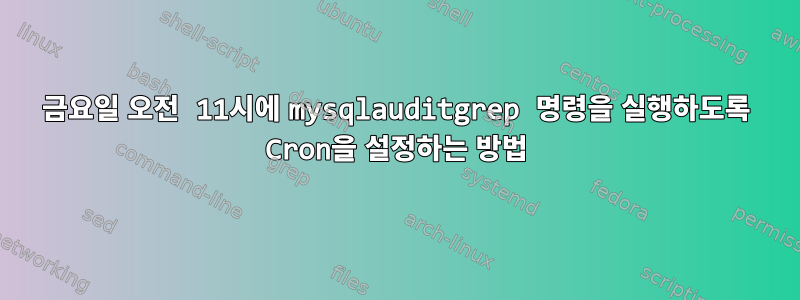 금요일 오전 11시에 mysqlauditgrep 명령을 실행하도록 Cron을 설정하는 방법