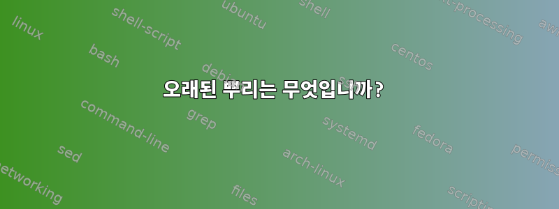 오래된 뿌리는 무엇입니까?