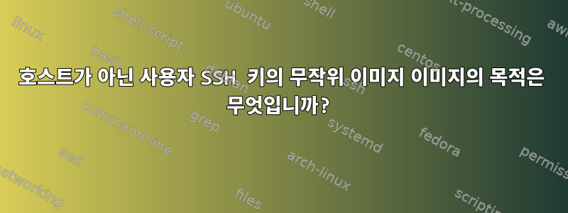 호스트가 아닌 사용자 SSH 키의 무작위 이미지 이미지의 목적은 무엇입니까?