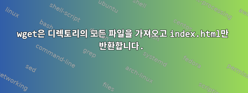 wget은 디렉토리의 모든 파일을 가져오고 index.html만 반환합니다.