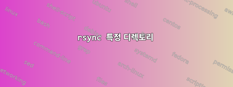 rsync 특정 디렉토리