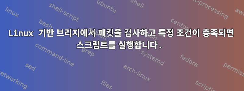 Linux 기반 브리지에서 패킷을 검사하고 특정 조건이 충족되면 스크립트를 실행합니다.