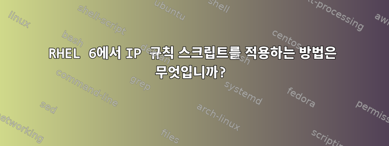 RHEL 6에서 IP 규칙 스크립트를 적용하는 방법은 무엇입니까?