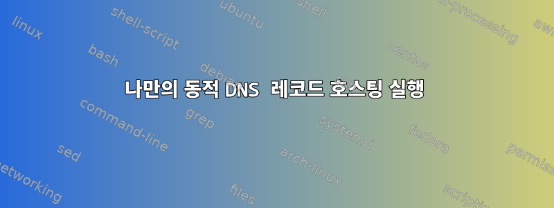 나만의 동적 DNS 레코드 호스팅 실행