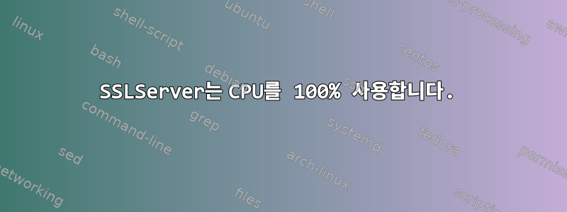 SSLServer는 CPU를 100% 사용합니다.