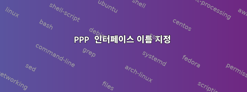 PPP 인터페이스 이름 지정