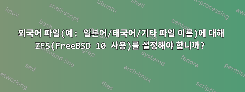 외국어 파일(예: 일본어/태국어/기타 파일 이름)에 대해 ZFS(FreeBSD 10 사용)를 설정해야 합니까?