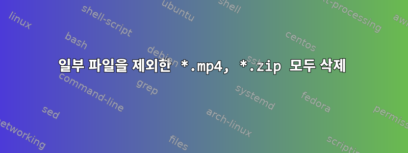 일부 파일을 제외한 *.mp4, *.zip 모두 삭제