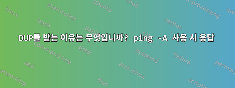 DUP를 받는 이유는 무엇입니까? ping -A 사용 시 응답