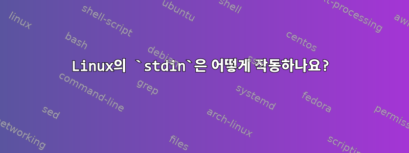 Linux의 `stdin`은 어떻게 작동하나요?