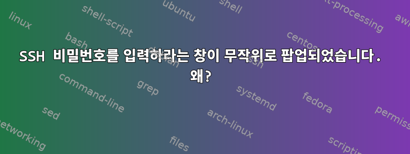 SSH 비밀번호를 입력하라는 창이 무작위로 팝업되었습니다. 왜?