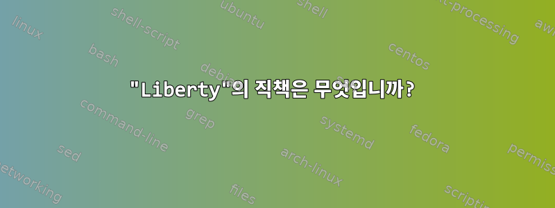 "Liberty"의 직책은 무엇입니까?