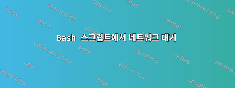 Bash 스크립트에서 네트워크 대기