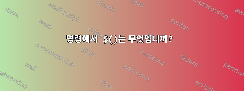 명령에서 $()는 무엇입니까?