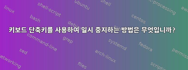 키보드 단축키를 사용하여 일시 중지하는 방법은 무엇입니까?