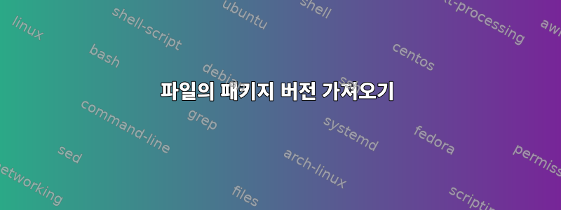 파일의 패키지 버전 가져오기