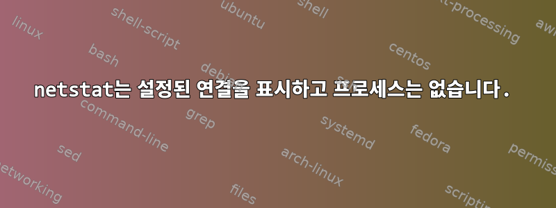 netstat는 설정된 연결을 표시하고 프로세스는 없습니다.