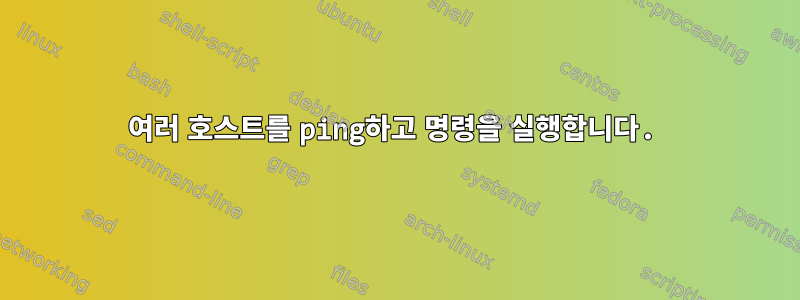 여러 호스트를 ping하고 명령을 실행합니다.