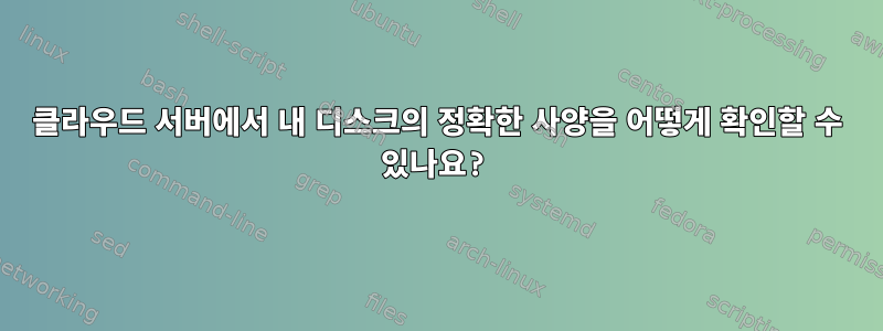 클라우드 서버에서 내 디스크의 정확한 사양을 어떻게 확인할 수 있나요?