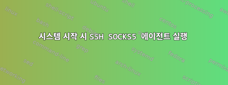 시스템 시작 시 SSH SOCKS5 에이전트 실행